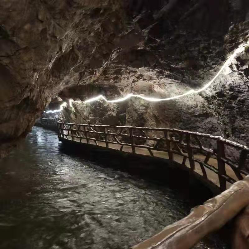 微信图片_201908151114488