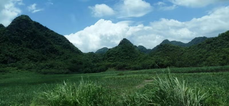 微信图片_201908151115172