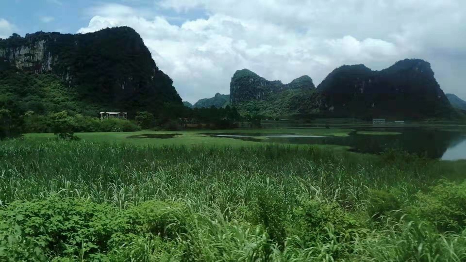 微信图片_201908151115173