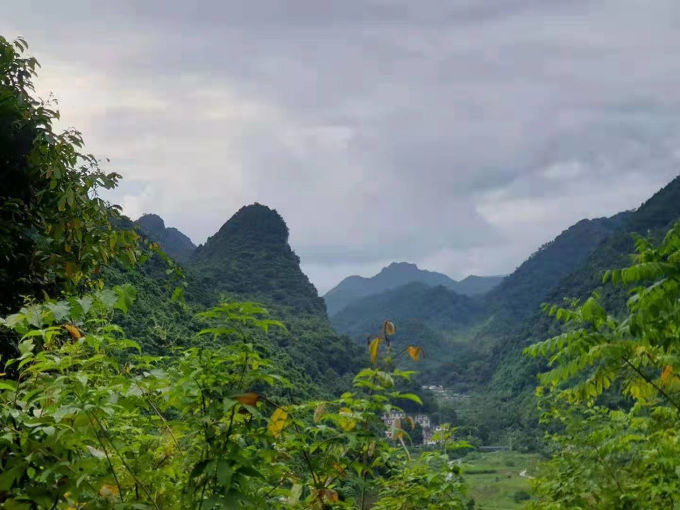 微信图片_201908151115177