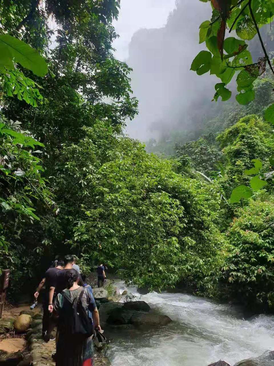 微信图片_201908151115181