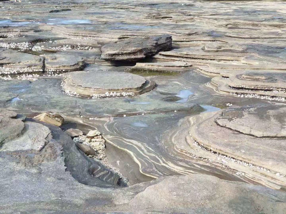 微信图片_2019081511122627