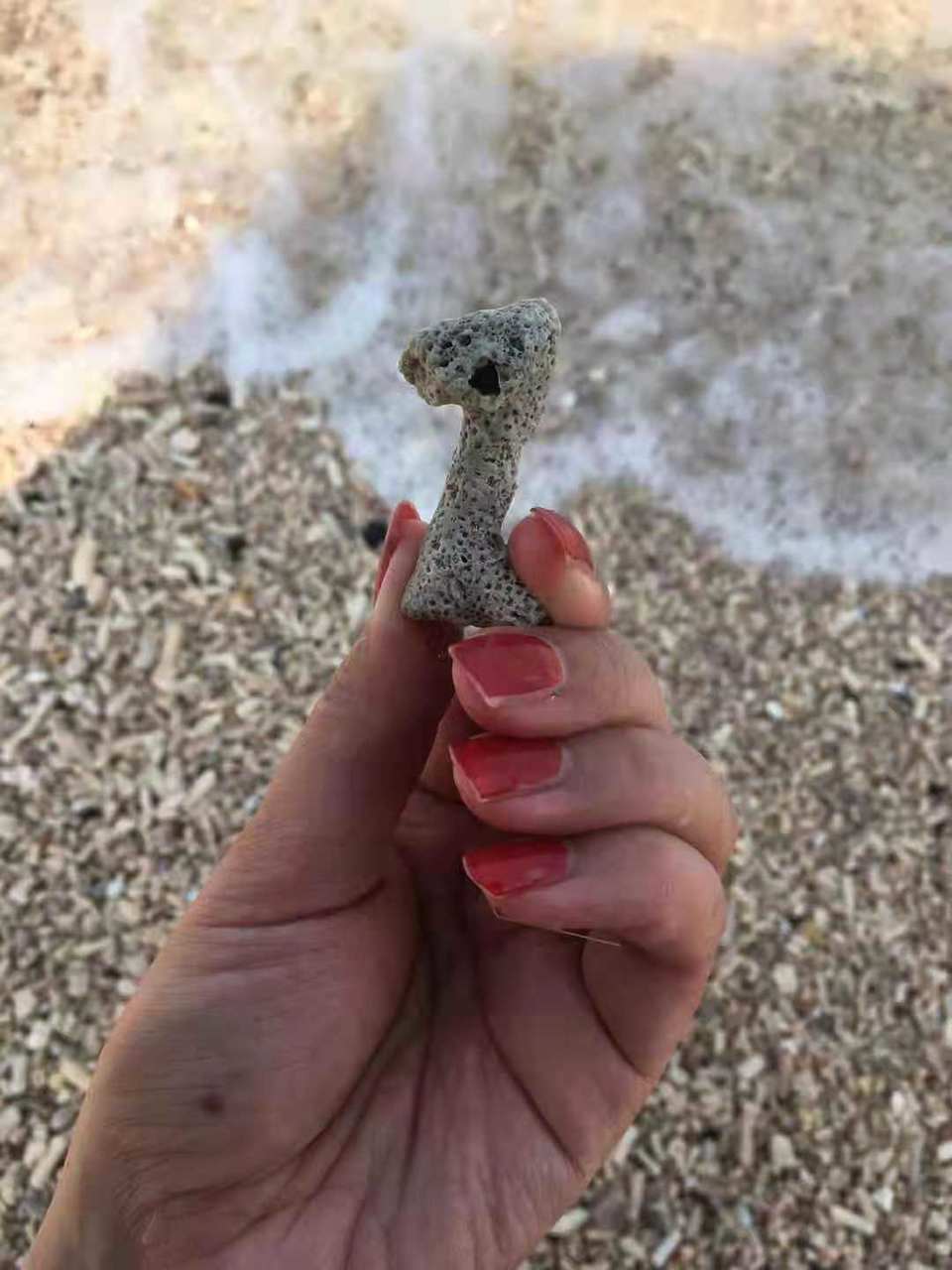 微信图片_2019081511122634