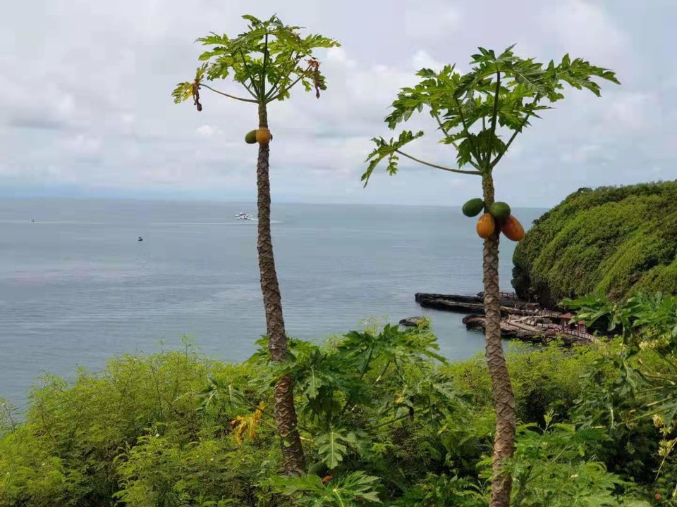 微信图片_2019081511122636