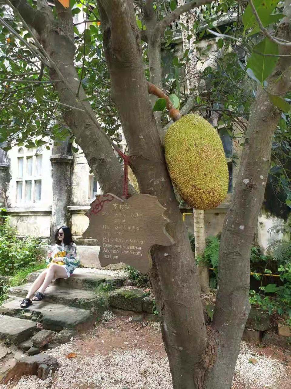 微信图片_2019081511122655