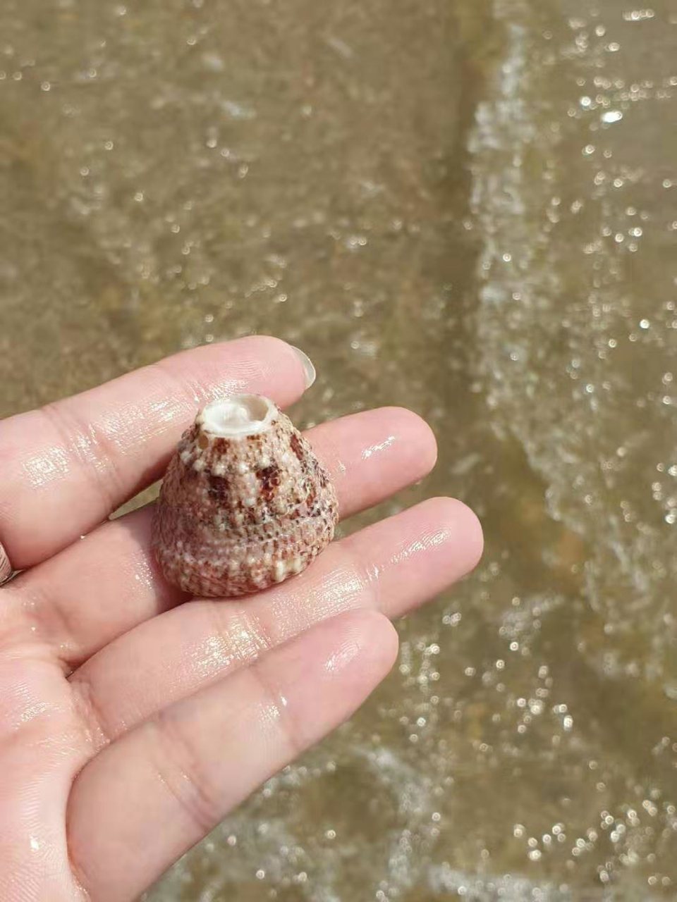 微信图片_2019081511122674