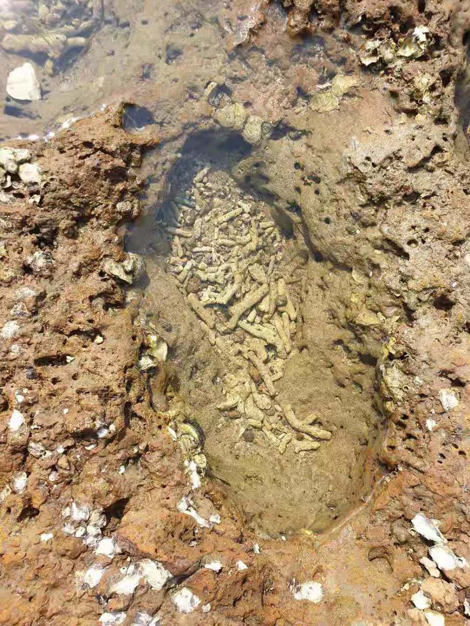 微信图片_2019081511122675