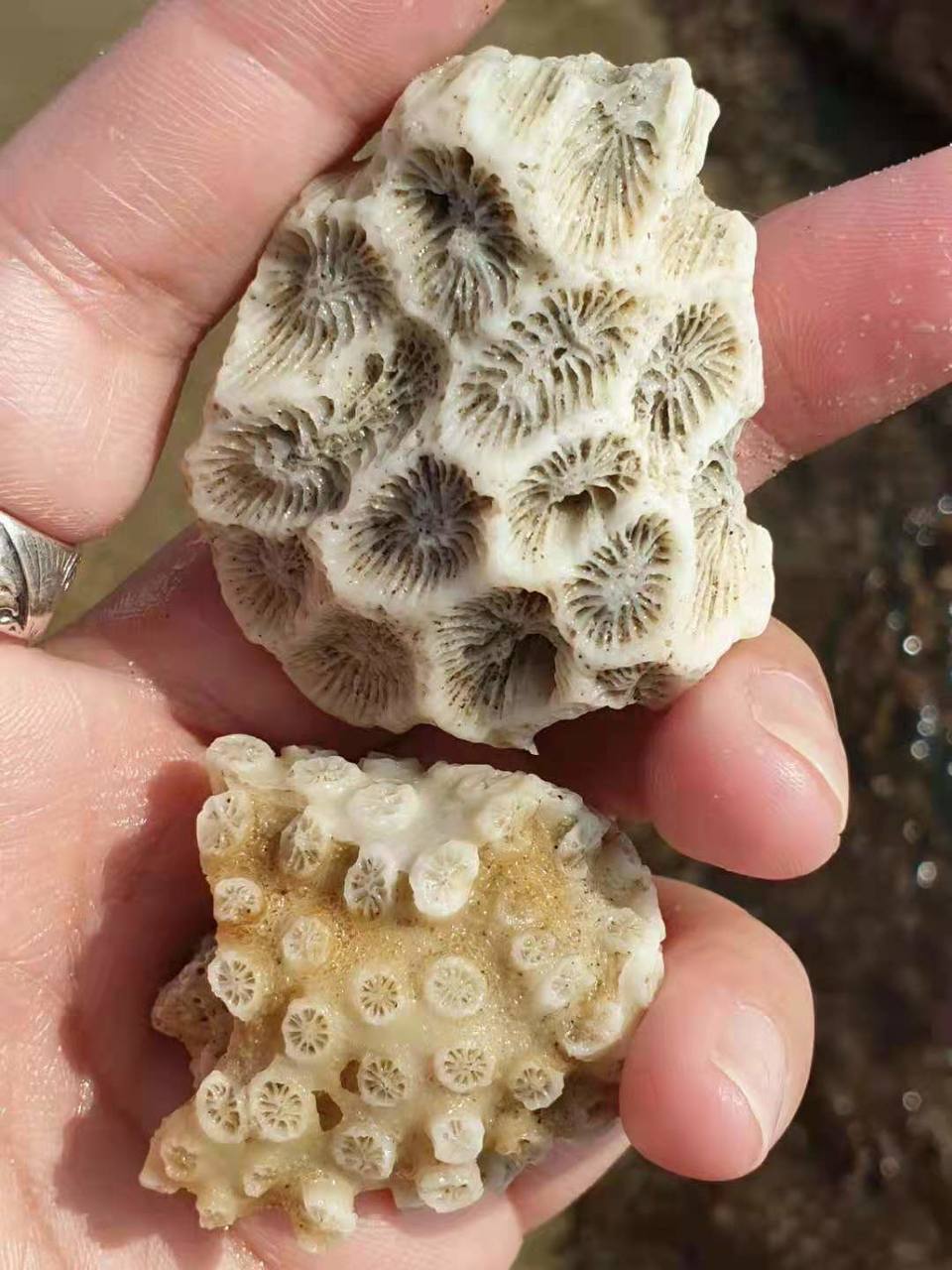 微信图片_2019081511122678