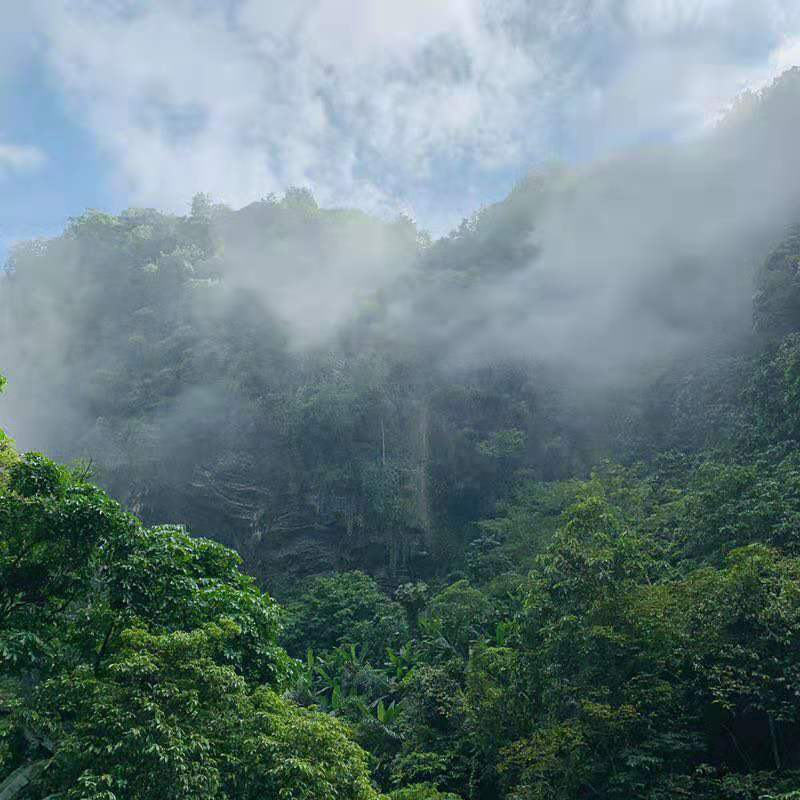 微信图片_2019081511144814