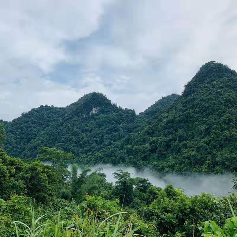 微信图片_2019081511144816