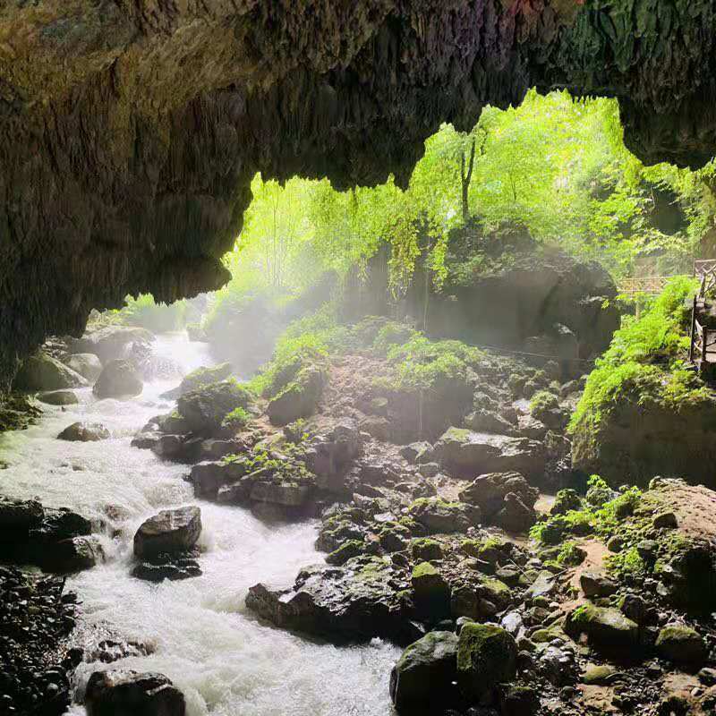 微信图片_2019081511144817