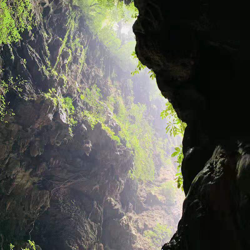 微信图片_2019081511144818