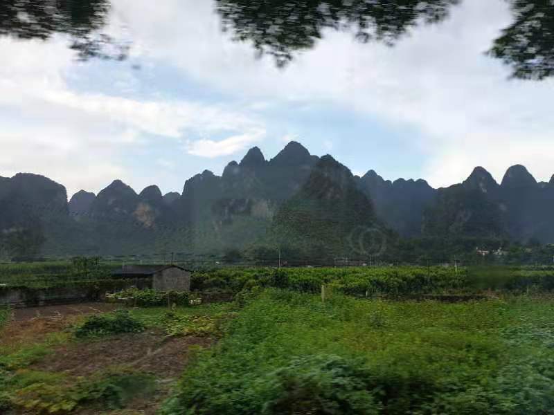 微信图片_2019081511144826