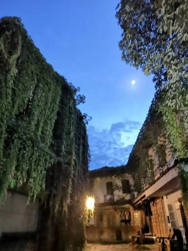 微信图片_2019081511144827