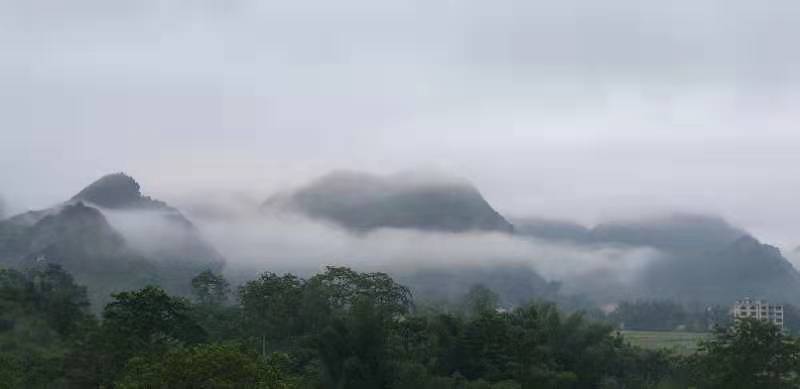 微信图片_2019081511144832