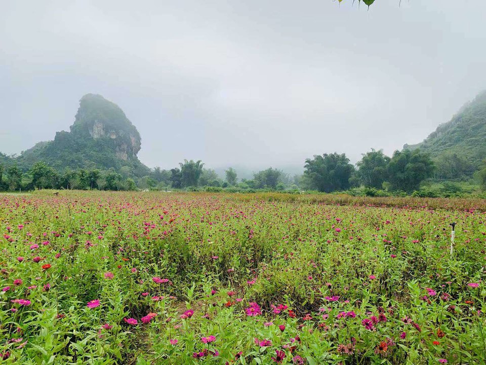 微信图片_2019081511144833