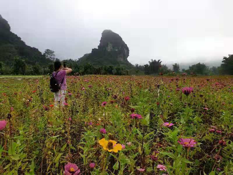 微信图片_2019081511144839