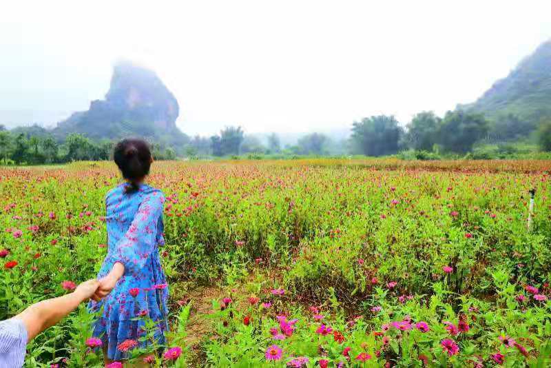 微信图片_2019081511144889