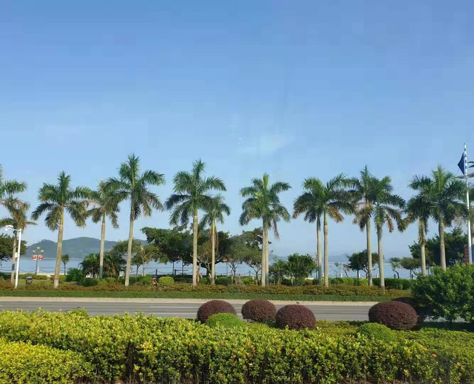 微信图片_2019081511144890