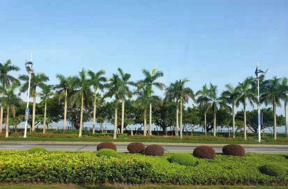 微信图片_2019081511144891