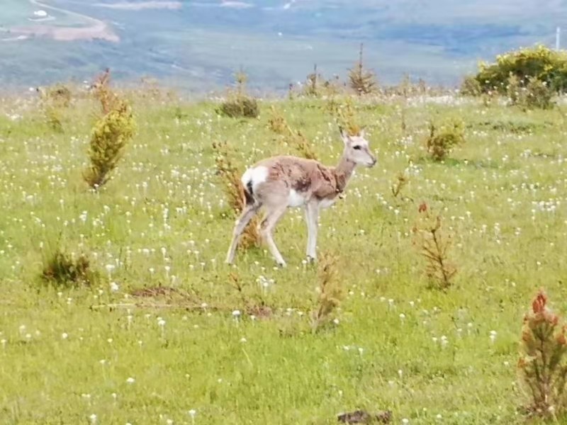 微信图片_201908201613004