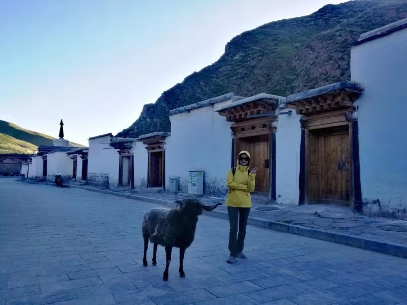 微信图片_201908201614098