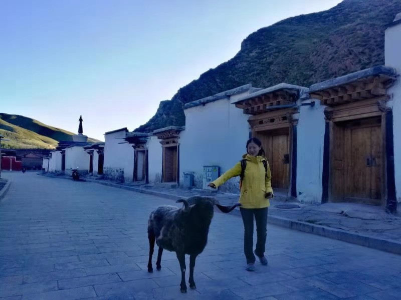 微信图片_201908201614099