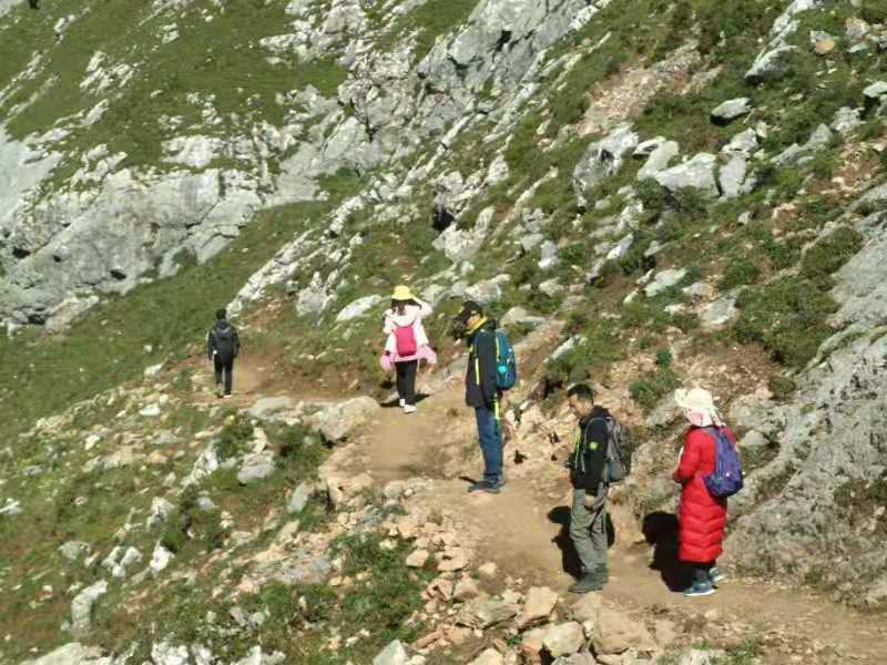 微信图片_2019082016083078