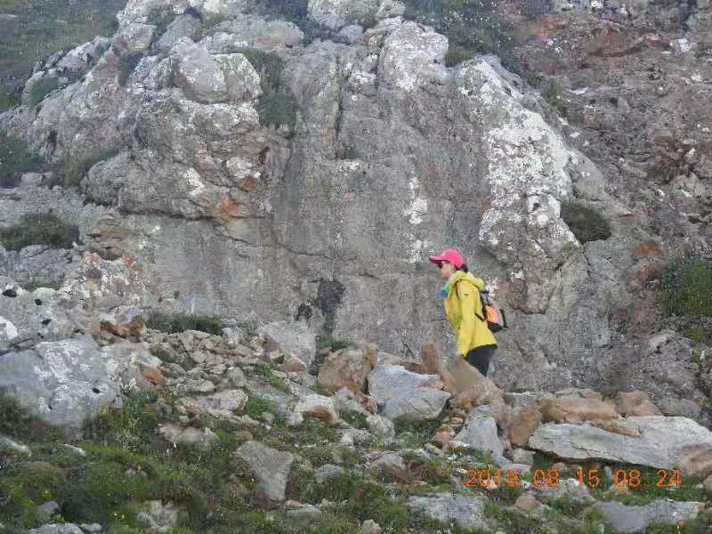 微信图片_2019082016083094