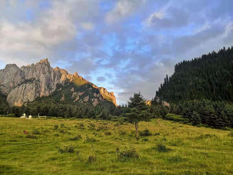 微信图片_2019082016103520