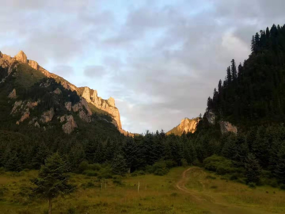 微信图片_2019082016103521