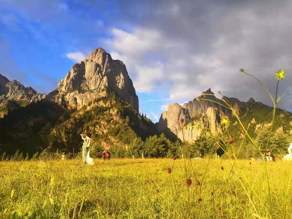 微信图片_2019082016103524