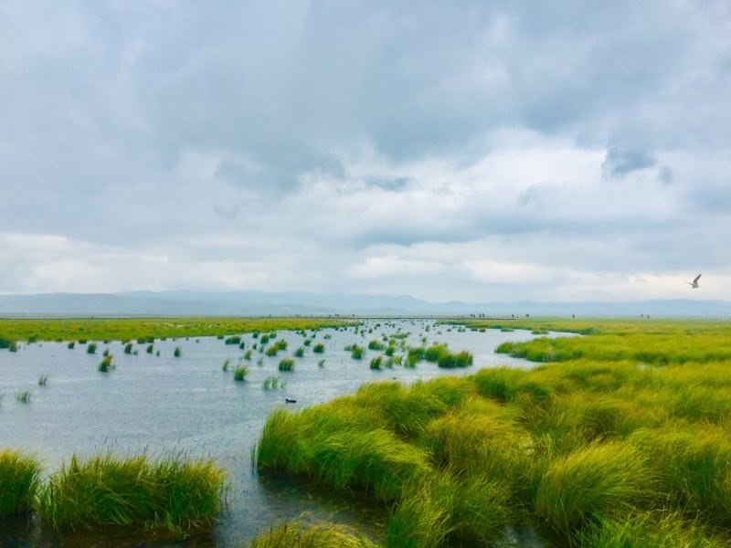 微信图片_2019082016130014