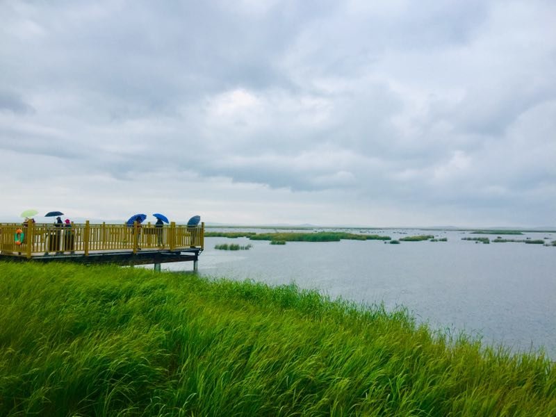 微信图片_2019082016130015