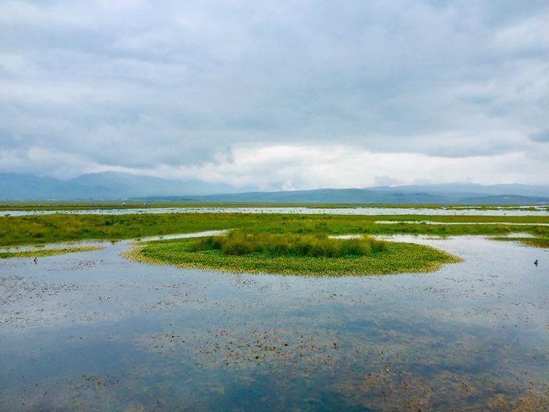 微信图片_2019082016130016