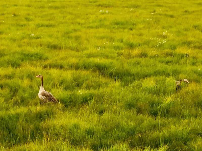 微信图片_2019082016130017
