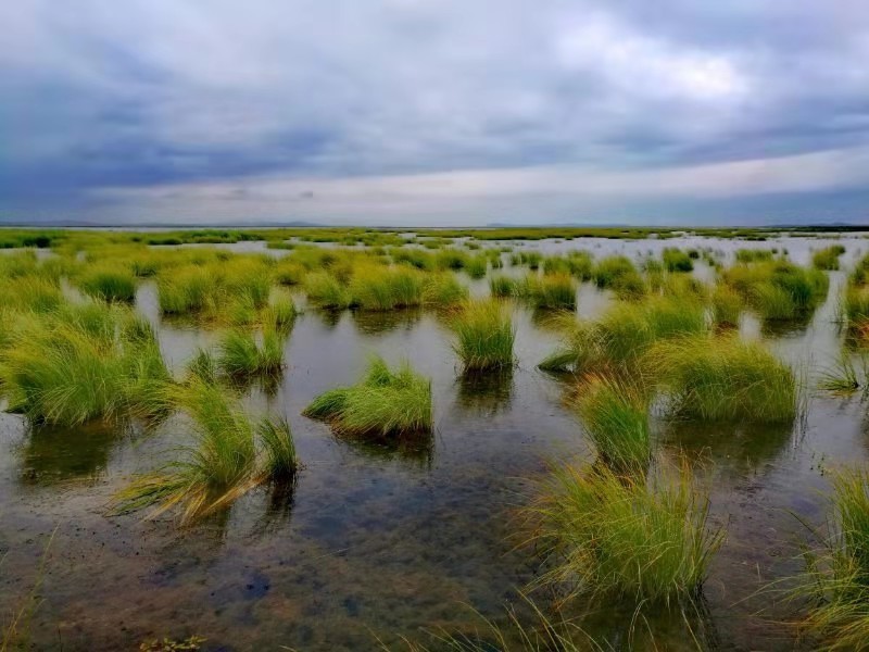 微信图片_2019082016130021