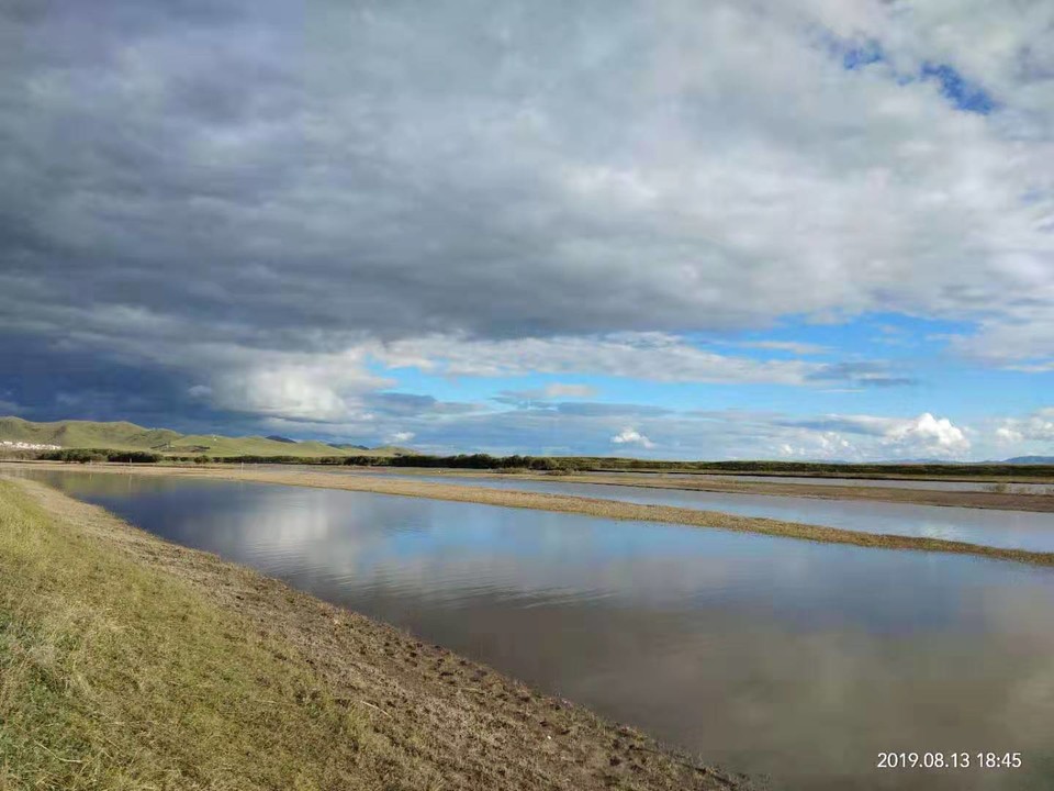 微信图片_2019082016130062