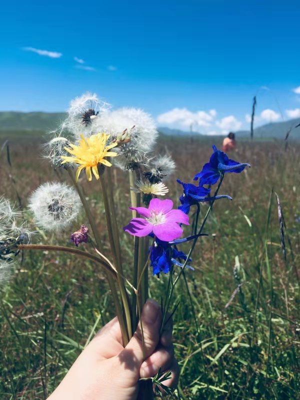 微信图片_2019082016140922