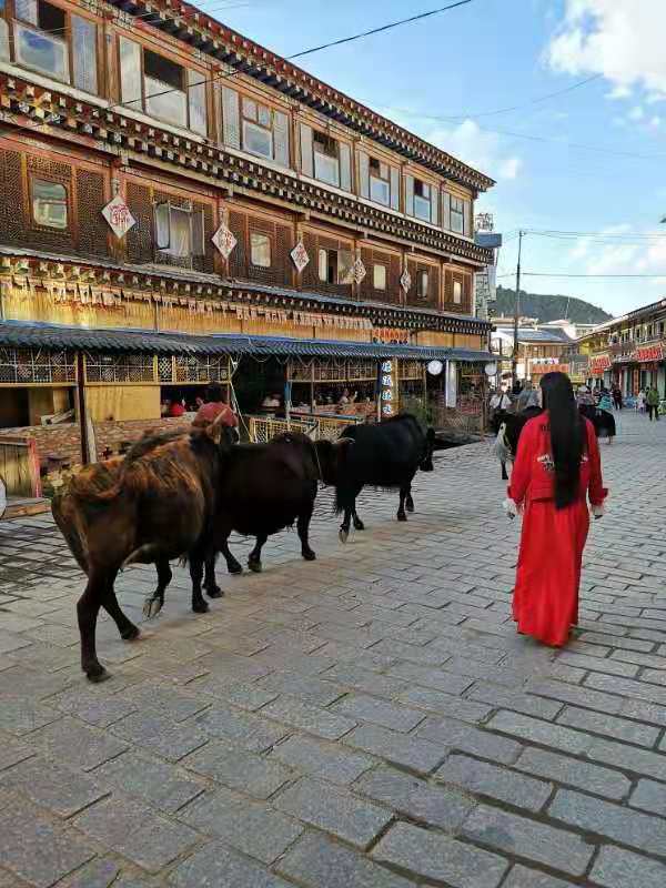 微信图片_2019082016140947