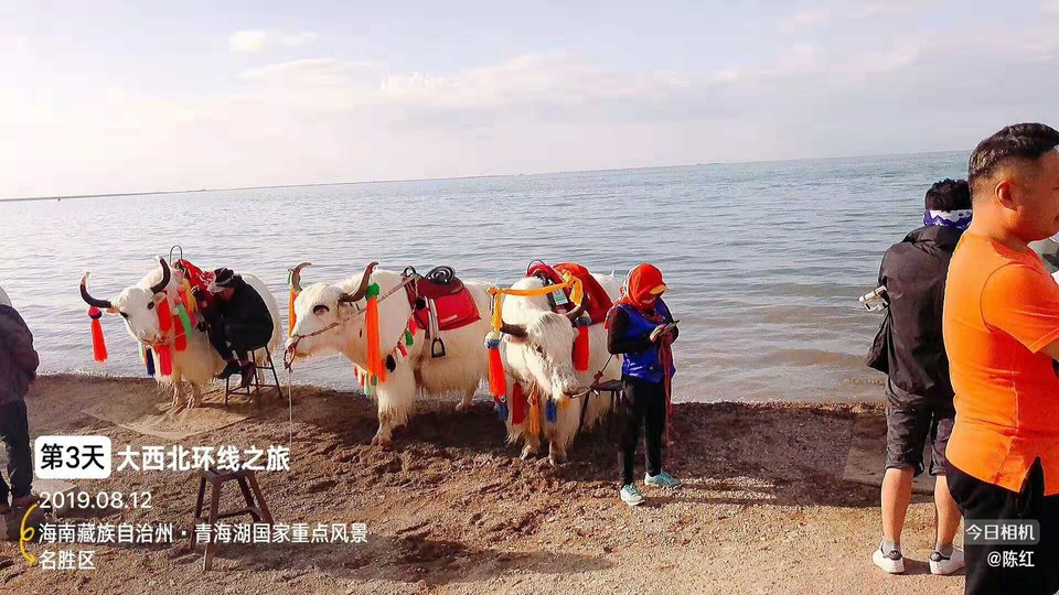 微信图片_20190821152921