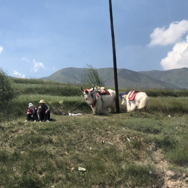 微信图片_201908211527243