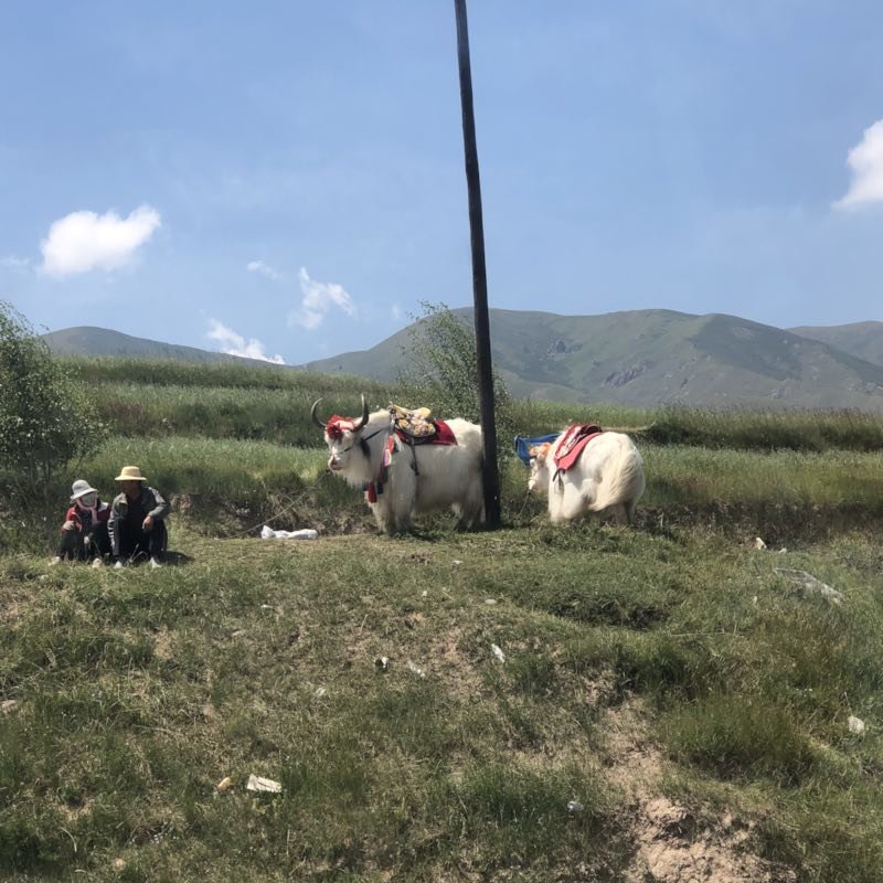 微信图片_201908211527244