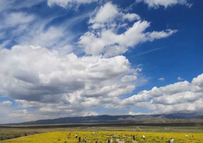 微信图片_201908211527248