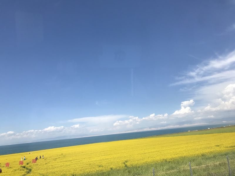 微信图片_201908211527249