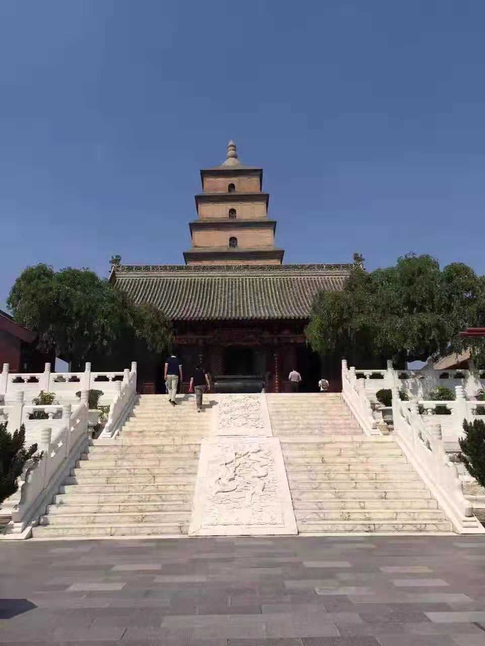 微信图片_201908211527254