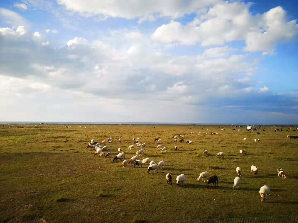 微信图片_201908211529211