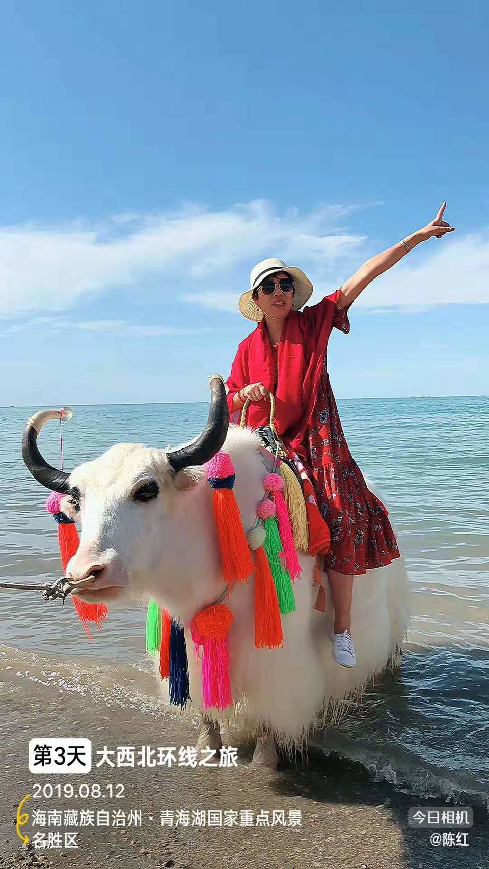 微信图片_201908211529214