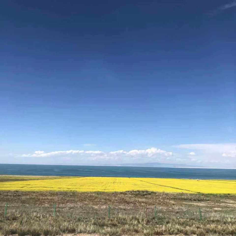 微信图片_2019082115272413