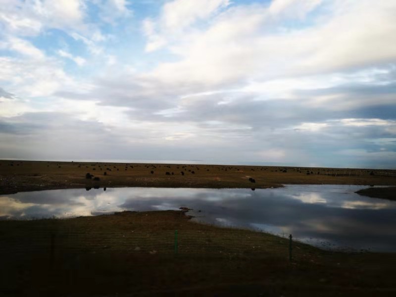 微信图片_2019082115272439